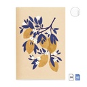 PACK MR8188 A5 COSIDOS PUNTOS FRUITS2SWEET FRUITS