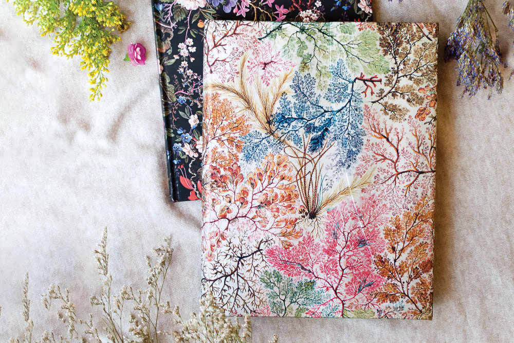 AGENDA PAPERBLANKS DED5394 2025 ANÉMONAS / WILLIAM KILBURN / MAXI / VERTICAL