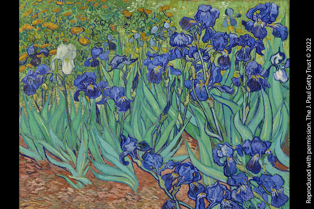 AGENDA PAPERBLANKS DED5400 2025 LIRIOS DE VAN GOGH / LIRIOS DE VAN GOGH / ULTRA / VERTICAL