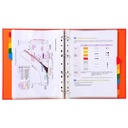 SEPARADOR EXACOMPTA 4312E CARTULINA  BL+PEST COLOR A4+ 12P