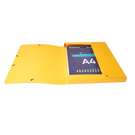 CARPETA PROYECTOS EXACOMPTA 50300E EXABOX CARTULINA LUSTRADA NATURE FUTURE A4+ GOMAS 2,5 cm SURTIDO