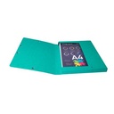 CARPETA PROYECTOS EXACOMPTA 50300E EXABOX CARTULINA LUSTRADA NATURE FUTURE A4+ GOMAS 2,5 cm SURTIDO