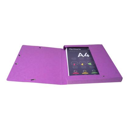 CARPETA PROYECTOS EXACOMPTA 50300E EXABOX CARTULINA LUSTRADA NATURE FUTURE A4+ GOMAS 2,5 cm SURTIDO