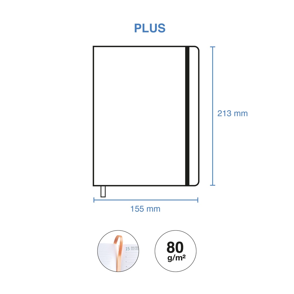 AGENDA MR22973 PLUS S/V-CAT COLOR BLOCK 25
