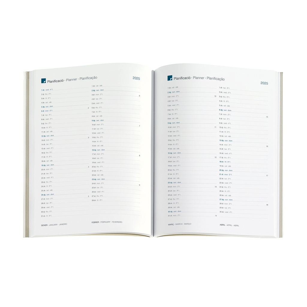 AGENDA MR22975 PLUS S/V-CAT DAISIES 25