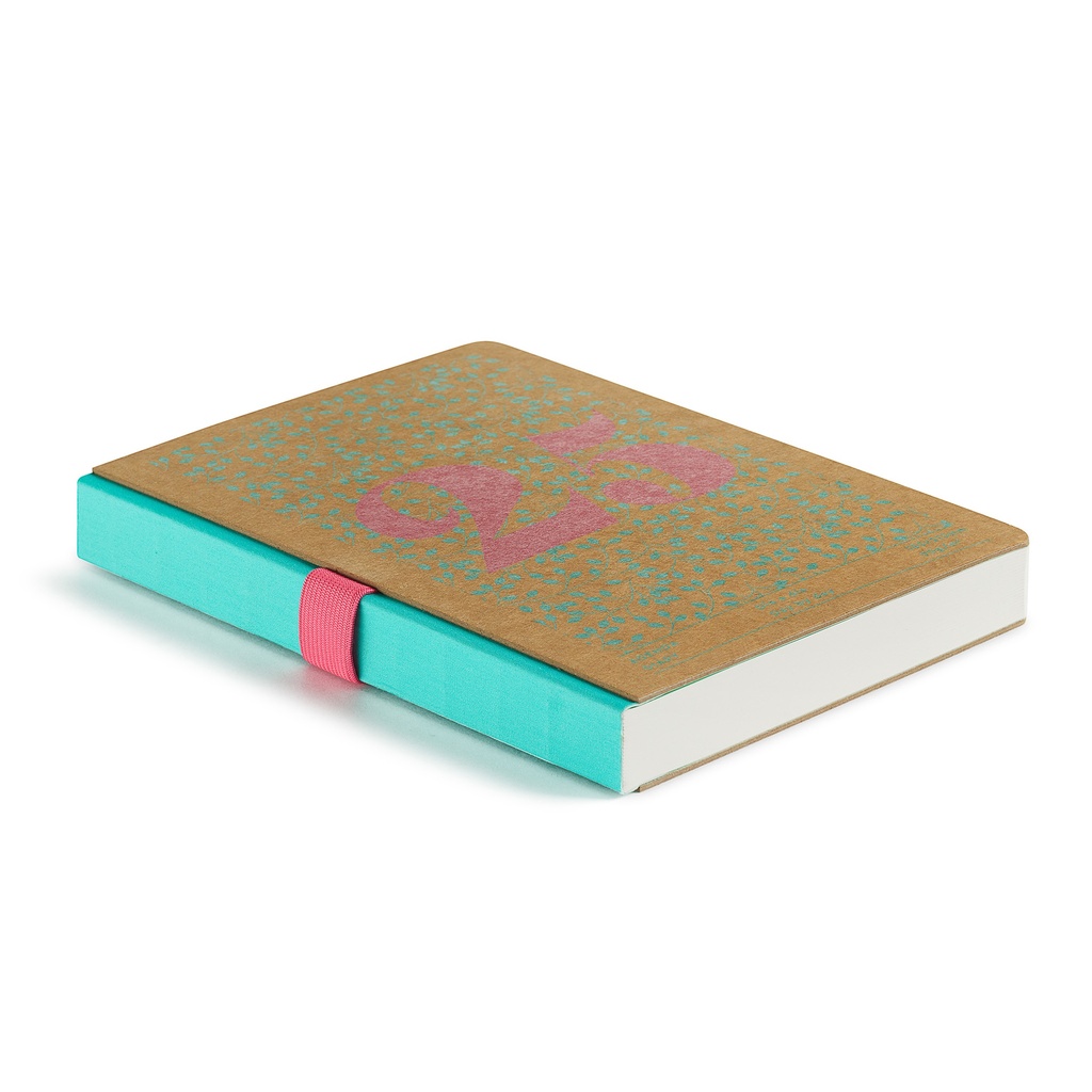 AGENDA MR34280 PLUS S/V KRAFT HOJAS BASICS 25