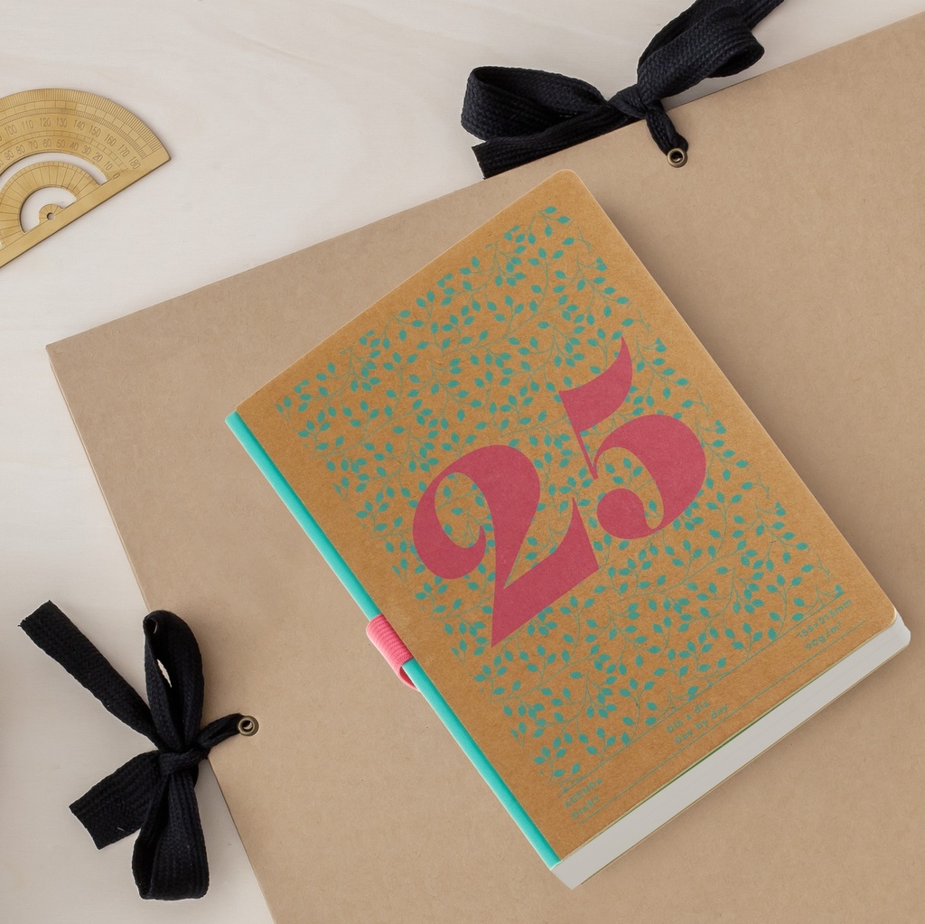 AGENDA MR34280 PLUS S/V KRAFT HOJAS BASICS 25