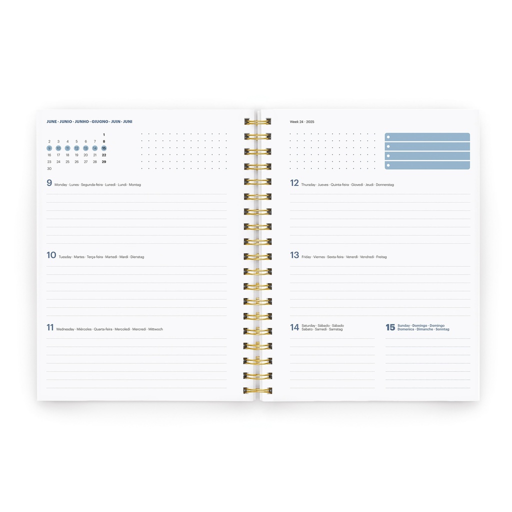 AGENDA MR34290 PLUS W-O S/V RUST PPICNIC 25