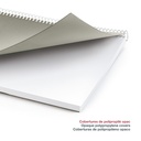 AGENDA MR34481 ESPIRAL PLUS S/VV-CAT CITY GRIS 25