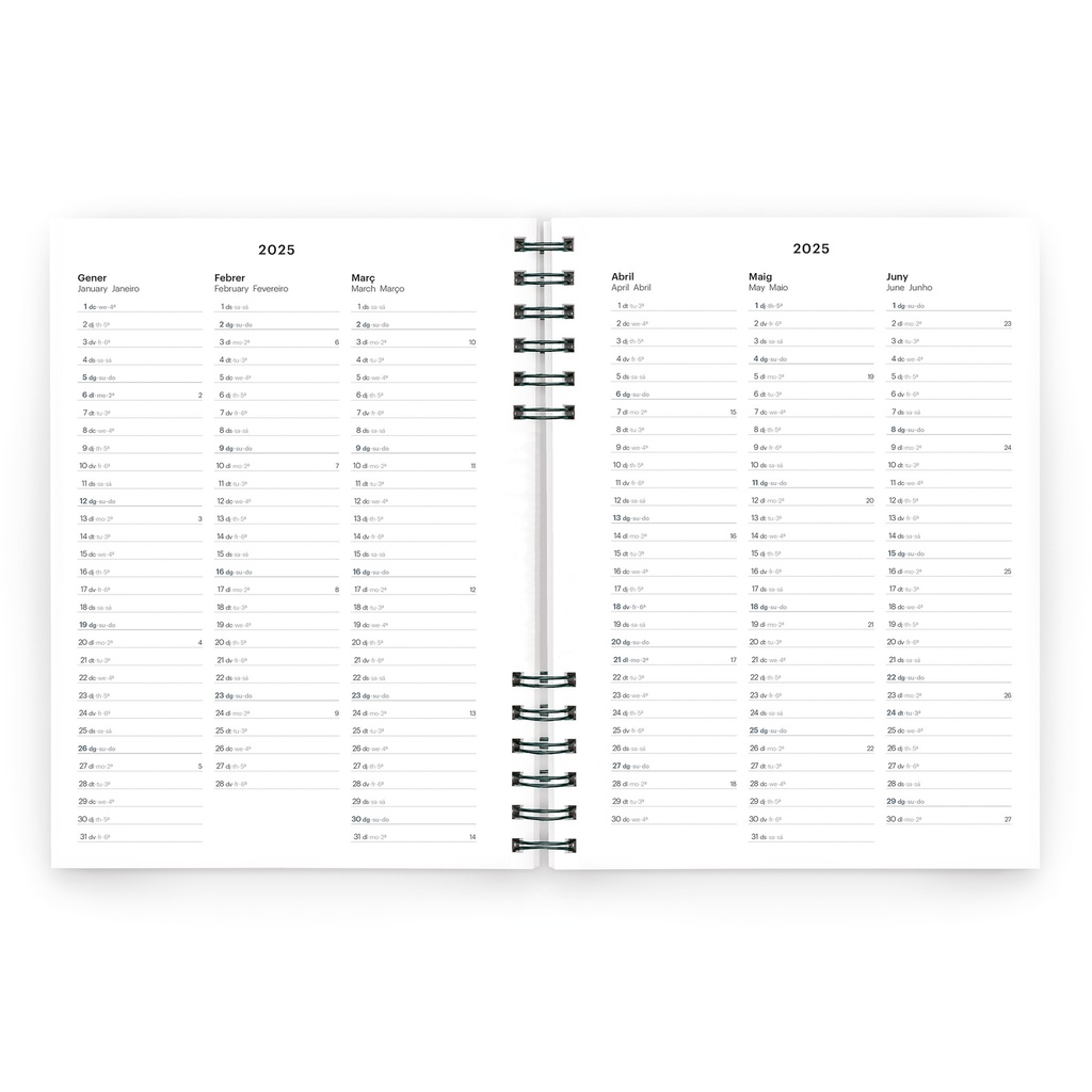 AGENDA MR34495  PLUS W-O S/V-CAT GRIS 25