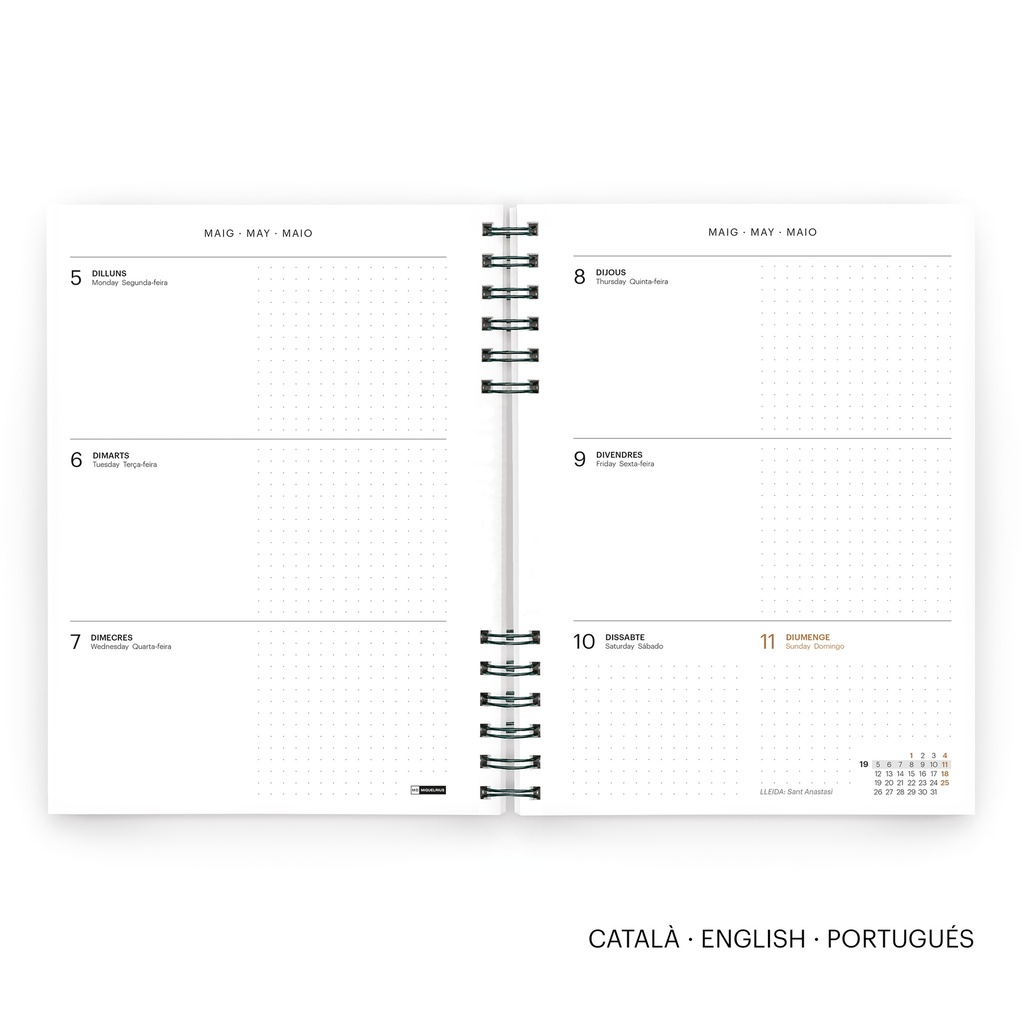 AGENDA MR34496  PLUS W-O S/V-CAT VERDE BASICS 25