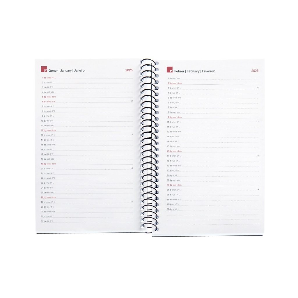 AGENDA MR38820 ESPIRAL ACTIVA S/V-CAT PP CITY NEGRO25