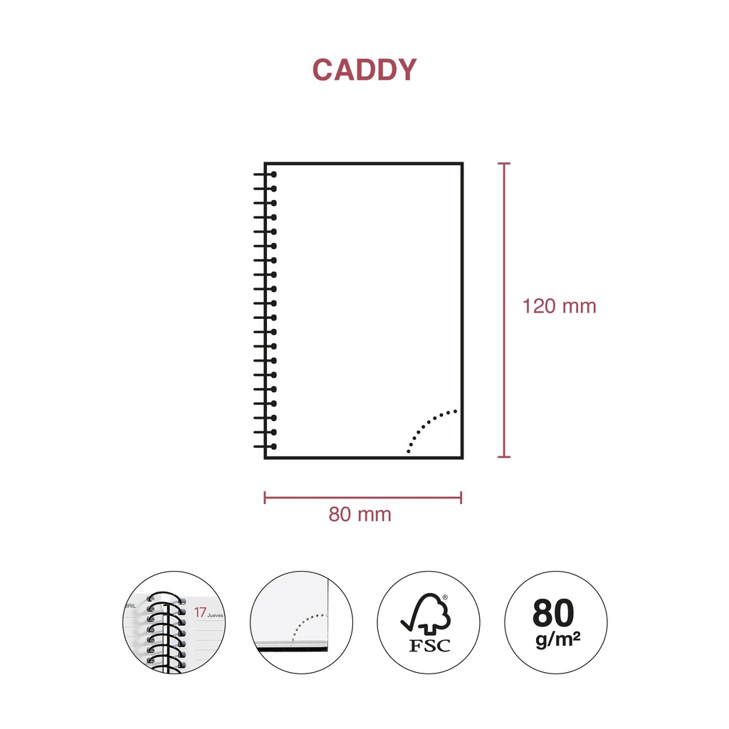 AGENDA MR39438 ESPIRAL CADDY S/V-CAT PP CITY NEGRO 25