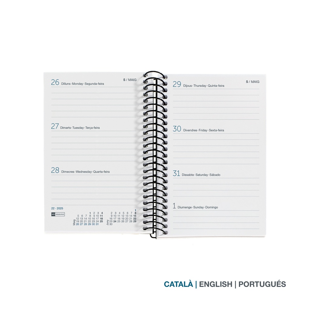 AGENDA MR39444 ESPIRAL CADDY S/V-CAT VILLA 25