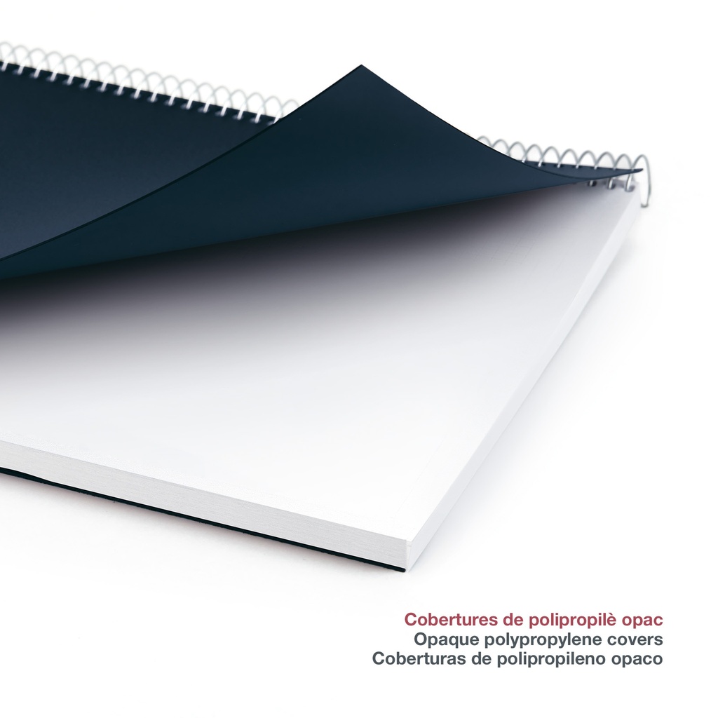 AGENDA MR34455 ESPIRALPLUS S/VV-CAT PP CITY MARINO25