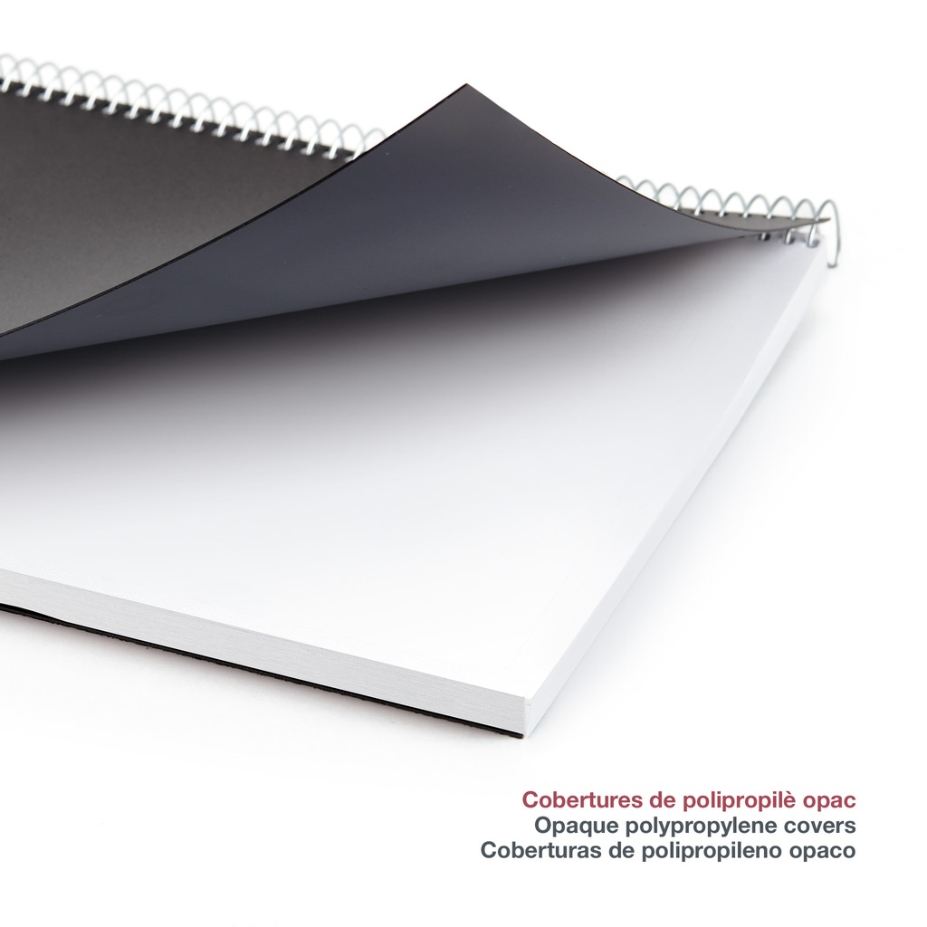 AGENDA MR38818 ESPIRALACTIVA D/P-CAT PP CITY NEGRO25