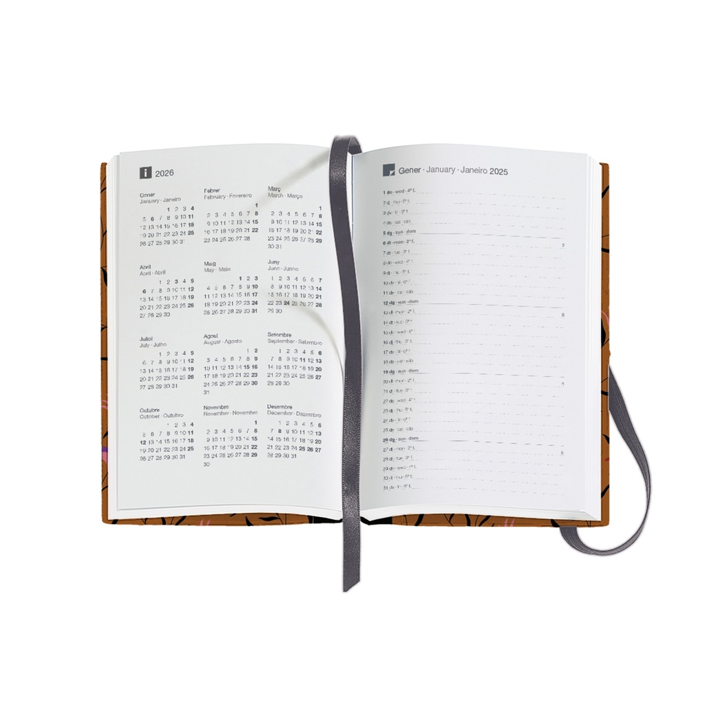 AGENDA MR31615 PASSPORT D/P-CAT AUTUM 25