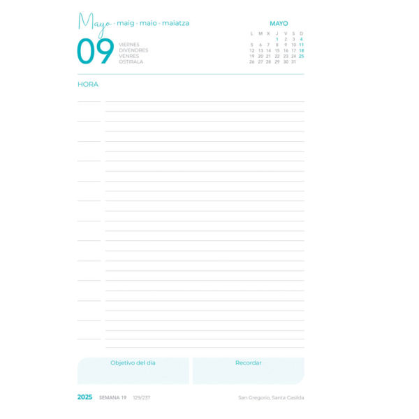 AGENDA GRAFO 70306542 25 D/P 15X21 METALLIC ARENA