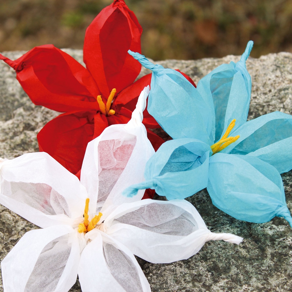 BLOC PAPEL APLI 16652 SEDA 32X24CM 10 H COLORES 