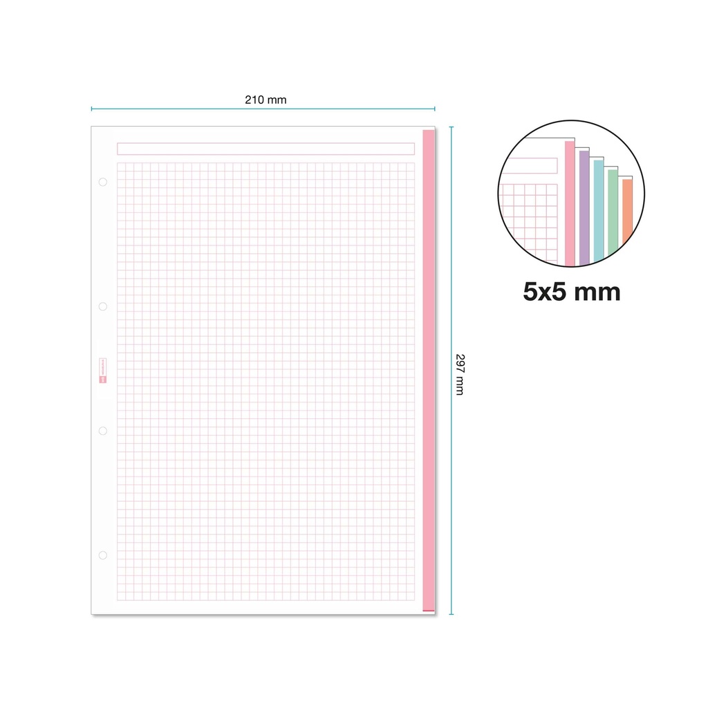 RECAMBIO MR9029 A4 CUADRICULA 100+50 5 COLORES SURTIDO PASTEL