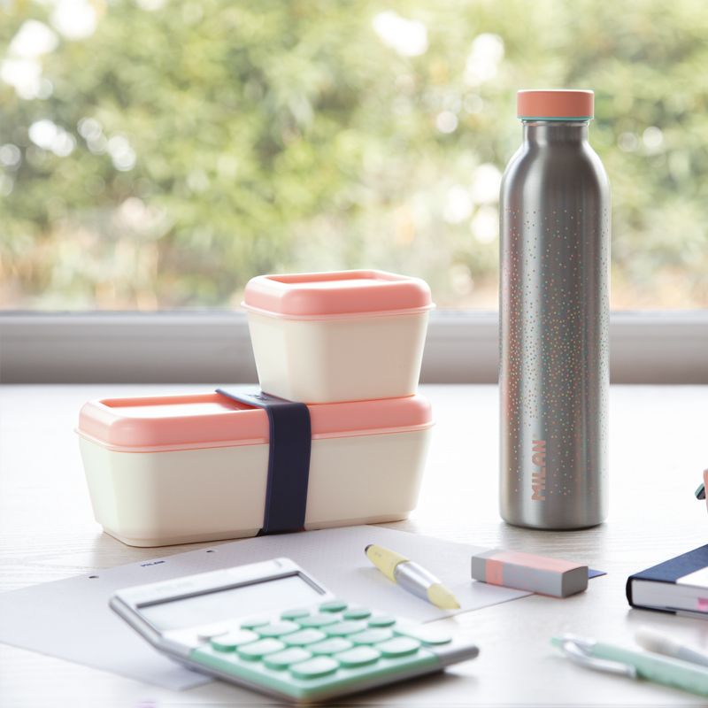 BOTELLA MILAN 643020SL ISOTERMICA ACERO INOXIDABLE 0.59 L SERIE SILVER ROSA