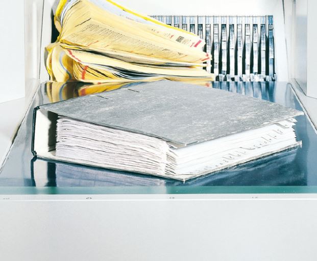 DESTRUCTORA IDEAL 50098231  5009 - 2 CC PARTICULAS 8X40-80 MM