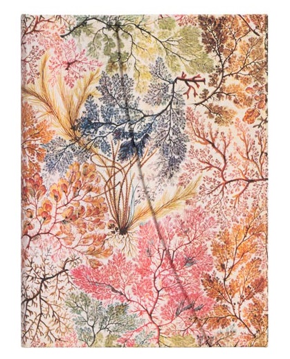 CUADERNO PAPERBLANKS PB7228-7 TAPA DURA MIDI ANÉMONAS RAYADO 