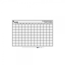 PIZARRA ROCADA 6420YP SKINPLANNER 75x115cm ANUAL SUPERFICIE LACADA