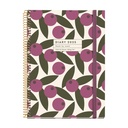 AGENDA MR34471 ESPIRAL PLUS S/V-CAT OLIVA 25