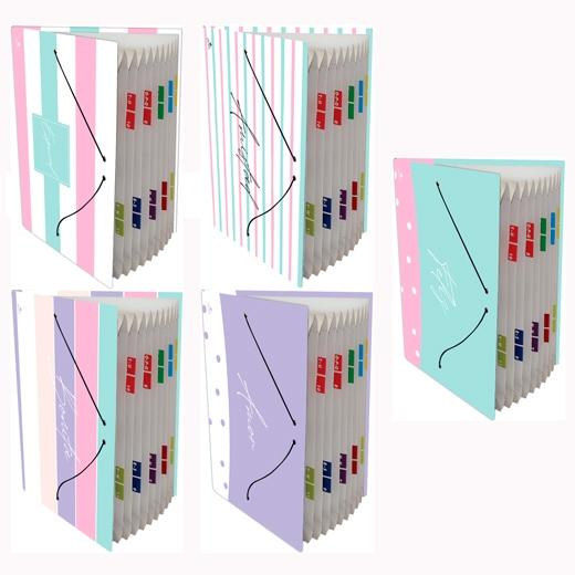 CARPETA MARIOLA 0919FR-EX FUELLE ACORDEÓN 12 C/GOMA FOLIO CARTÓN FORRADO PLASTIFICADO DISEÑOS SURTIDOS