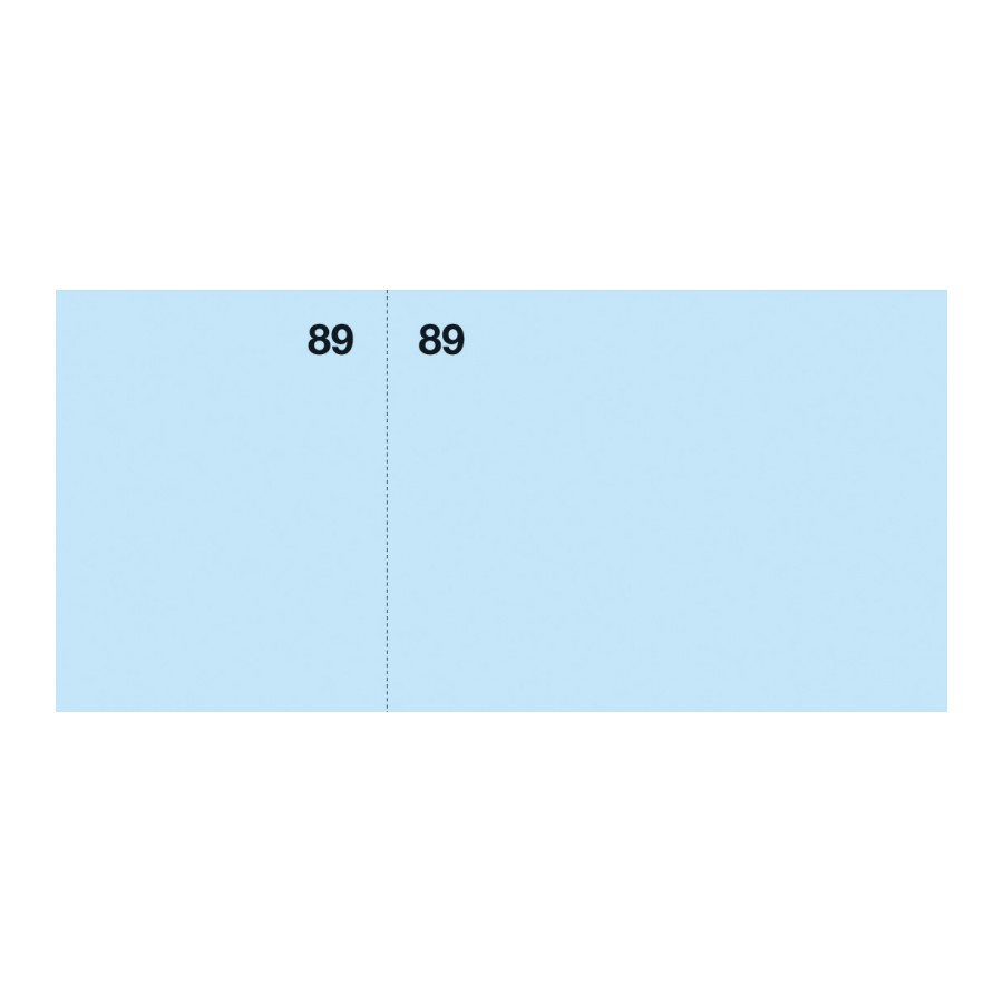 TALONARIO APLI 12936 VALES DE CAJA 105x50  1-100 COL. SURTIDOS