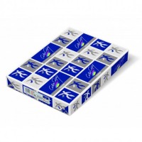 PAPEL COLOR C. GLOSSY 250 GRS, 450X320