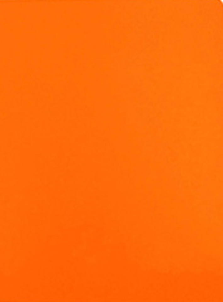 SUBCARPETAS ELBA 400040486 SIMPLES INTENSAS 250 GRS  A4  NARANJA