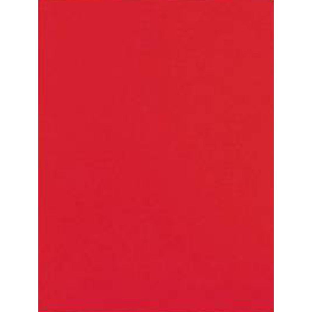SUBCARPETAS ELBA 400040487 SIMPLES INTENSAS 250 GRS  A4  ROJO