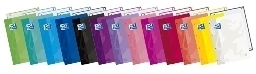 RECAMBIO ENRI OXS. 100103460 A4 80 H.ROJO