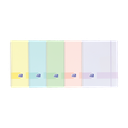 CARPETA DE FUNDAS ESPIRAL LIVE & GO TP A4 C/GOMA 40 FUNDAS 0 SRTD PASTEL