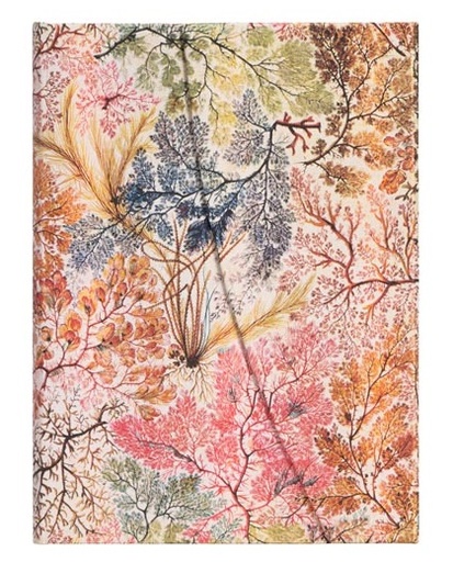 [PB7228-7] CUADERNO PAPERBLANKS PB7228-7 TAPA DURA MIDI ANÉMONAS RAYADO 