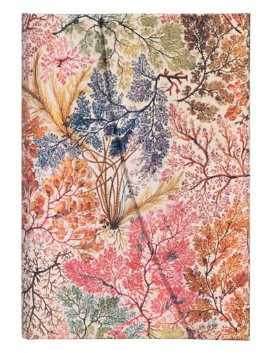 [PB7229-4] CUADERNO PAPERBLANKS PB7229-4 TAPA DURA MINI ANÉMONAS RAYADO 