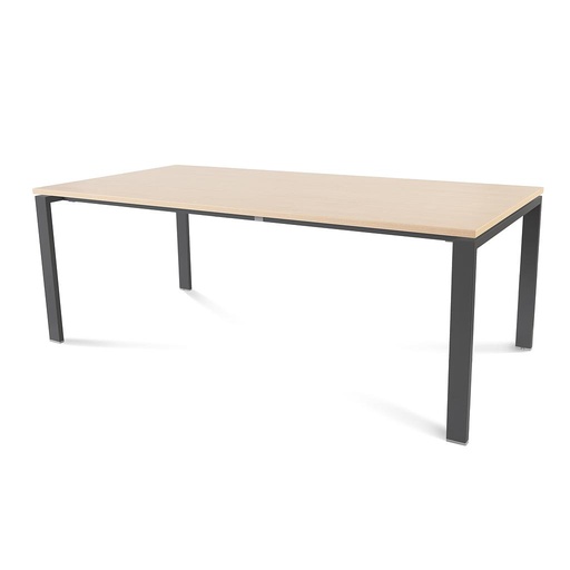 [2005MY01] MESA ROCADA 2005MY01 TOTAL 200X100 ANTRACITA/ HAYA