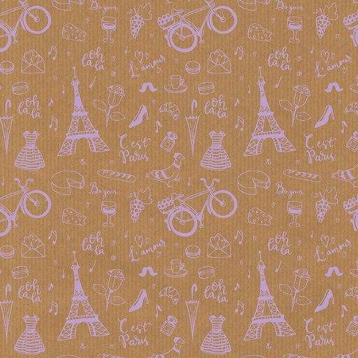 [18911] R.PAPEL REGALO 2x0,70 KRAFT FUN