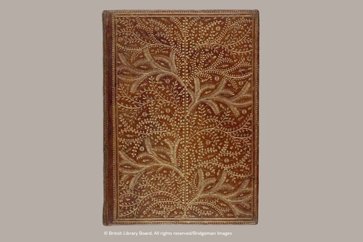 [FED5848] AGENDA PAPERBLANKS FED5848 2025 FP 12 / WILDWOOD / MAXI / HORIZONTAL