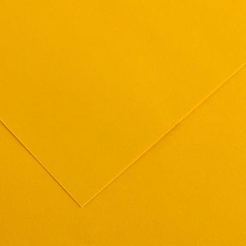 [200040269] HOJA 50X65 GUARRO CART IRIS 185G CUERO