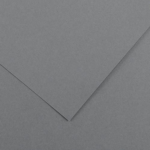 [200040272] HOJA CANSON 200040272 50X65 (125) GUARRO CART IRIS 185G GRIS PLOMO