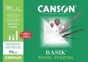 HOJA CANSON 200406244 29,7X42 GUARRO VEGETAL BASIK 95G